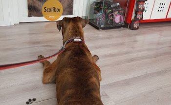 TUS VETERINARIOS MARY PAZ Y OSCAR