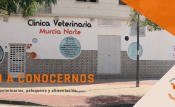 Clínica Veterinaria Murcia Norte