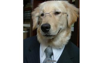 Zococan,Clínica Veterinaria en Murcia.Ronda Sur.