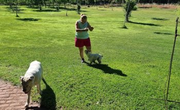 Clínica veterinaria Zoo Centro