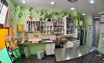 Clinica Veterinaria Loba