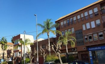 Animalicos. Centro Veterinario