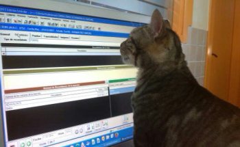 Centro Veterinario El Pantano