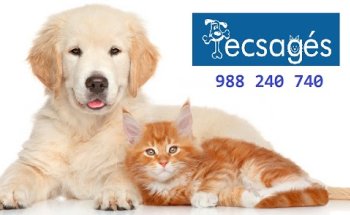 Clínica Veterinaria Tecsagés
