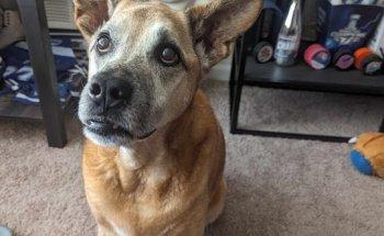 Oviedo Veterinary Wellness Building