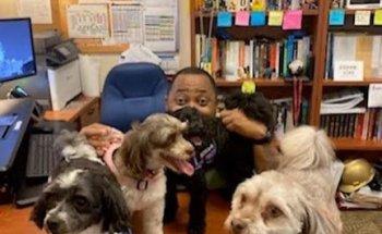 Shaffer Animal Hospital