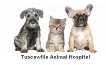 Tuscawilla Animal Hospital