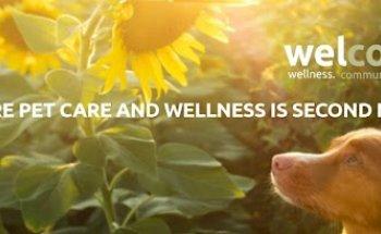 Loch Haven Veterinary Hospital