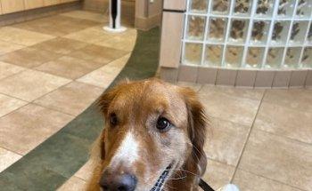 Waterford Lakes Animal Hospital