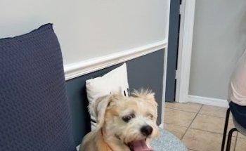 Garden Veterinary Clinic