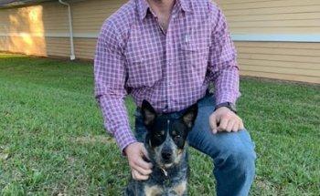 Animal Clinic of Casselberry