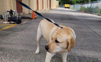 Interlachen Animal Hospital