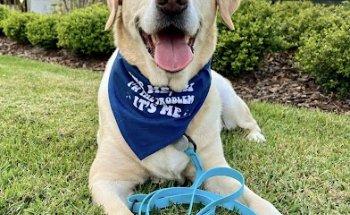 Sanlando Springs Animal Hospital