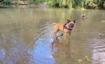 Clínica Veterinaria Ana Vet