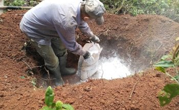Servicio Veterinario A Domicilio 24 Horas