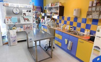 Clínica Veterinaria El Molinar