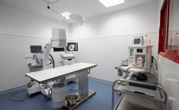 Neurologia i Neurocirurgia Veterinària