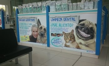 AniCura Aragó Hospital Veterinari