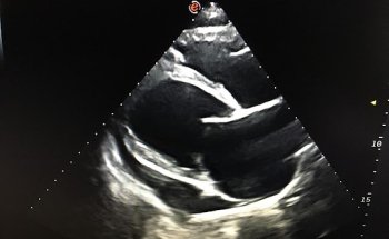 Jordi López - Cardiologia Veterinària Mallorca