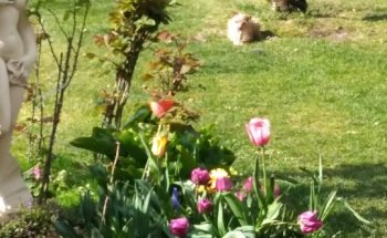 Clinica Veterinaria Mendillorri