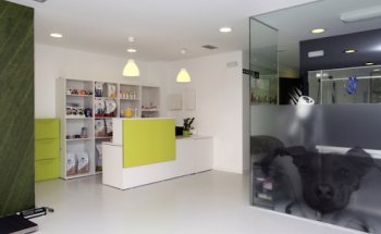 Clínica Veterinaria Nuevo Artica - Veterinaria en Pamplona