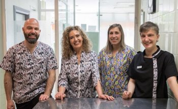 Clinica Veterinaria Villava SL