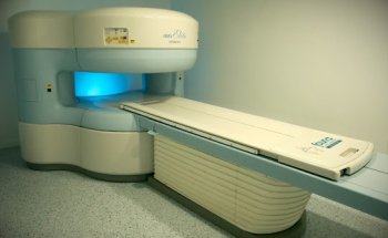 Fauna Clínica Veterinaria