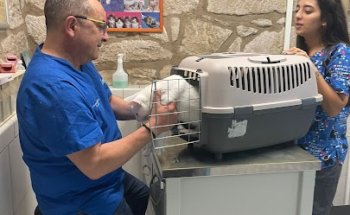 Clínica Veterinaria Mourente