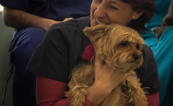 Clínica Veterinaria La Vega Salamanca