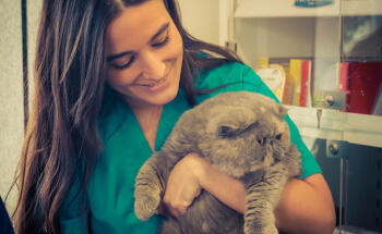 Clínica Veterinaria La Vega