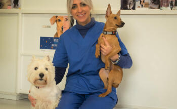 Clínica Veterinaria La Vega