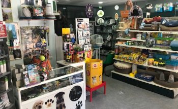 Clínica Veterinaria La Aldehuela