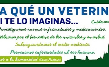 Colegio Oficial de Veterinarios