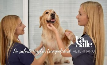 Veterinario La Salle