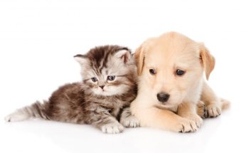 Veterinaria La Recova