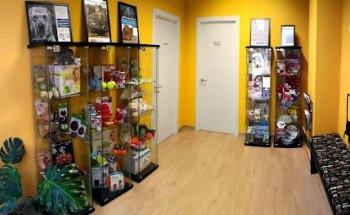 Animaletos - Centro de Etología Veterinaria