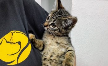 Vet Cali - Centro Veterinario