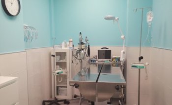 CLÍNICA VETERINARIA 