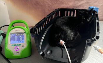 Clínica Veterinaria Los Robles