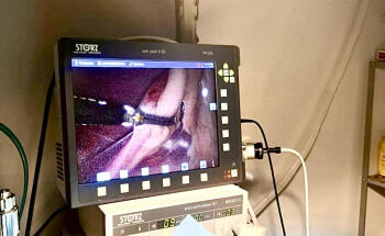 Clínica Veterinaria Los Robles