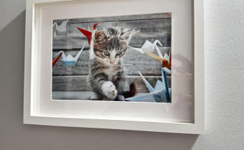 Clínica Veterinaria Los Robles