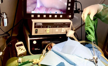 Clínica Veterinaria Los Robles