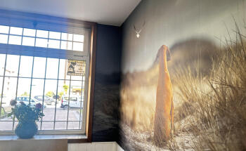 Clínica Veterinaria Los Robles