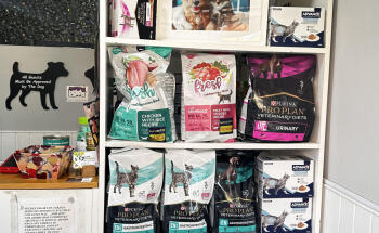 Clínica Veterinaria Los Robles