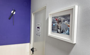 Clínica Veterinaria Los Robles