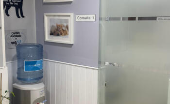 Clínica Veterinaria Los Robles