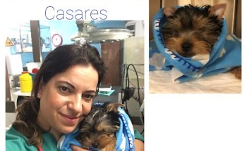 Clínica Veterinaria Casares