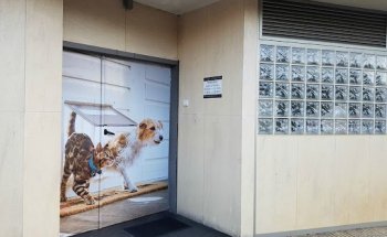 Clínica Veterinaria Sardinero