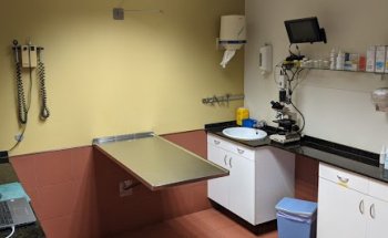 Clínica Veterinaria Elvira