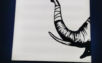 Clínica Veterinaria Primero de Mayo